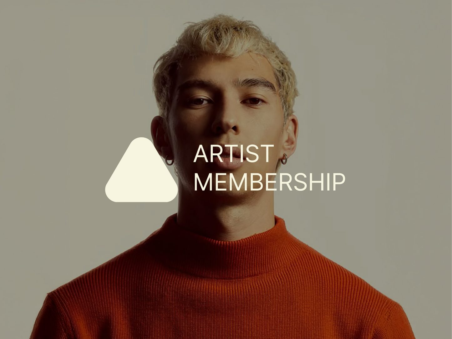 Experienced Artist Membership