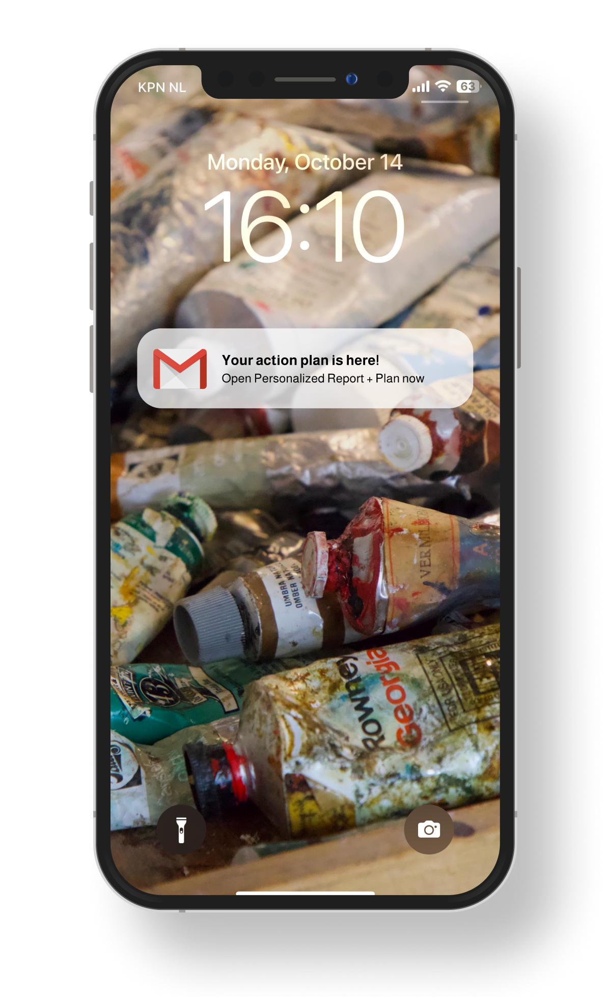 Personalized Collector Report and Action Plan