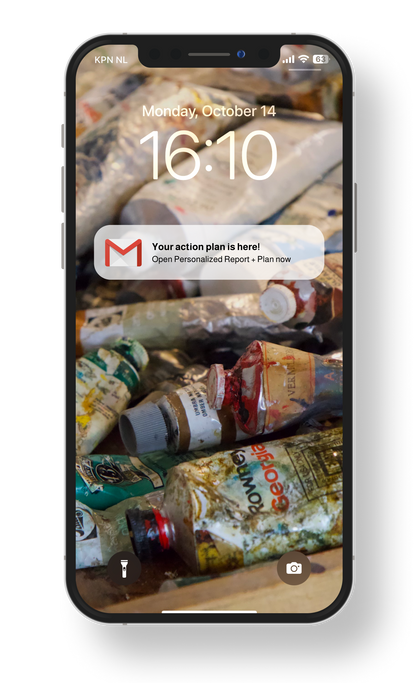 Personalized Collector Report and Action Plan